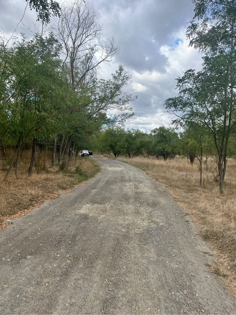 5000 mp langa Padure