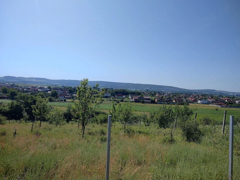 teren de vanzare