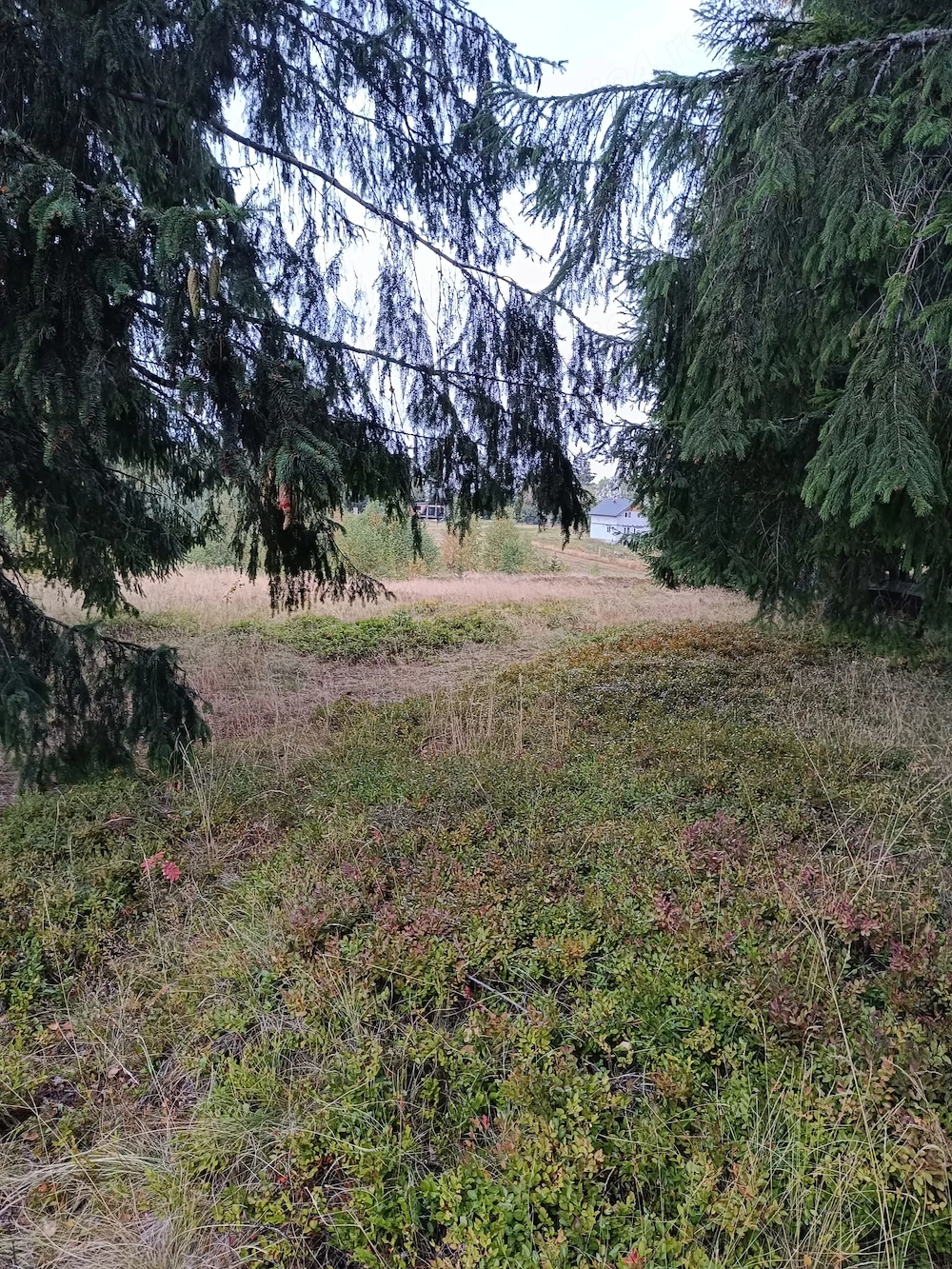 Teren zona montana