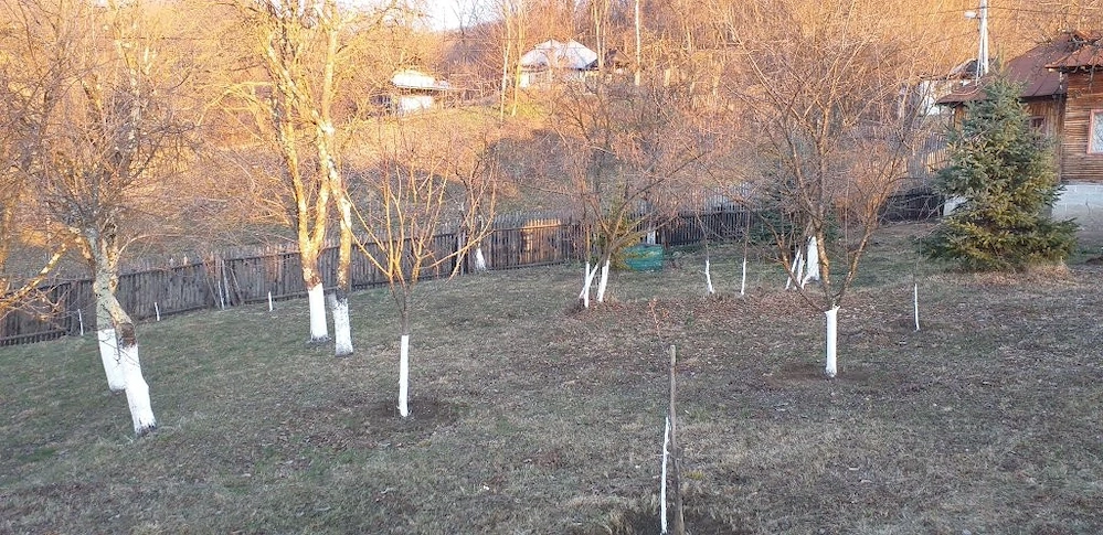 Vanzare teren 7582 mp (livada si faneata) cu casa in Prahova, Com.Cosminele, Sat Poiana Trestiei