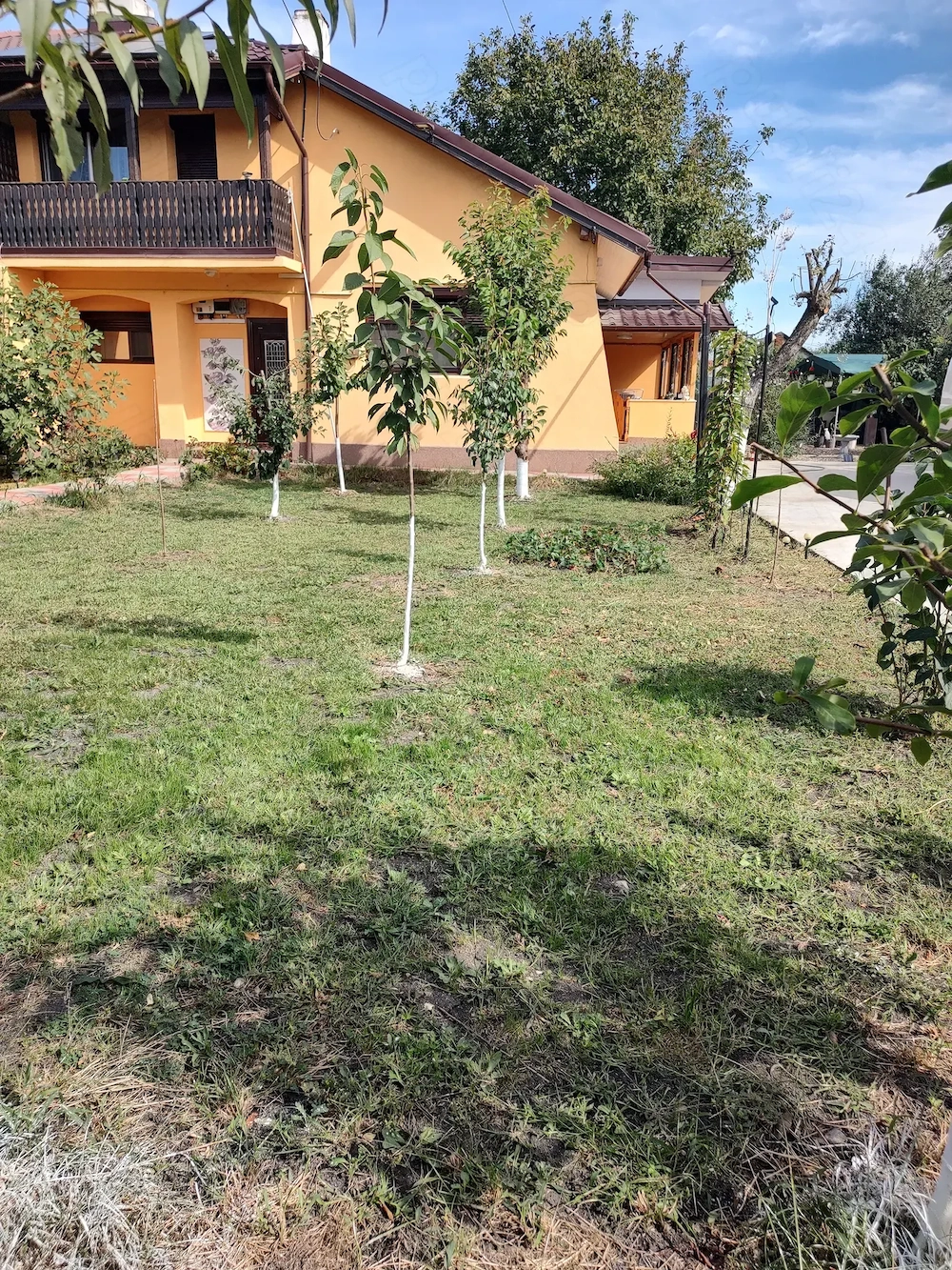 Casa central în Vernești Buzau