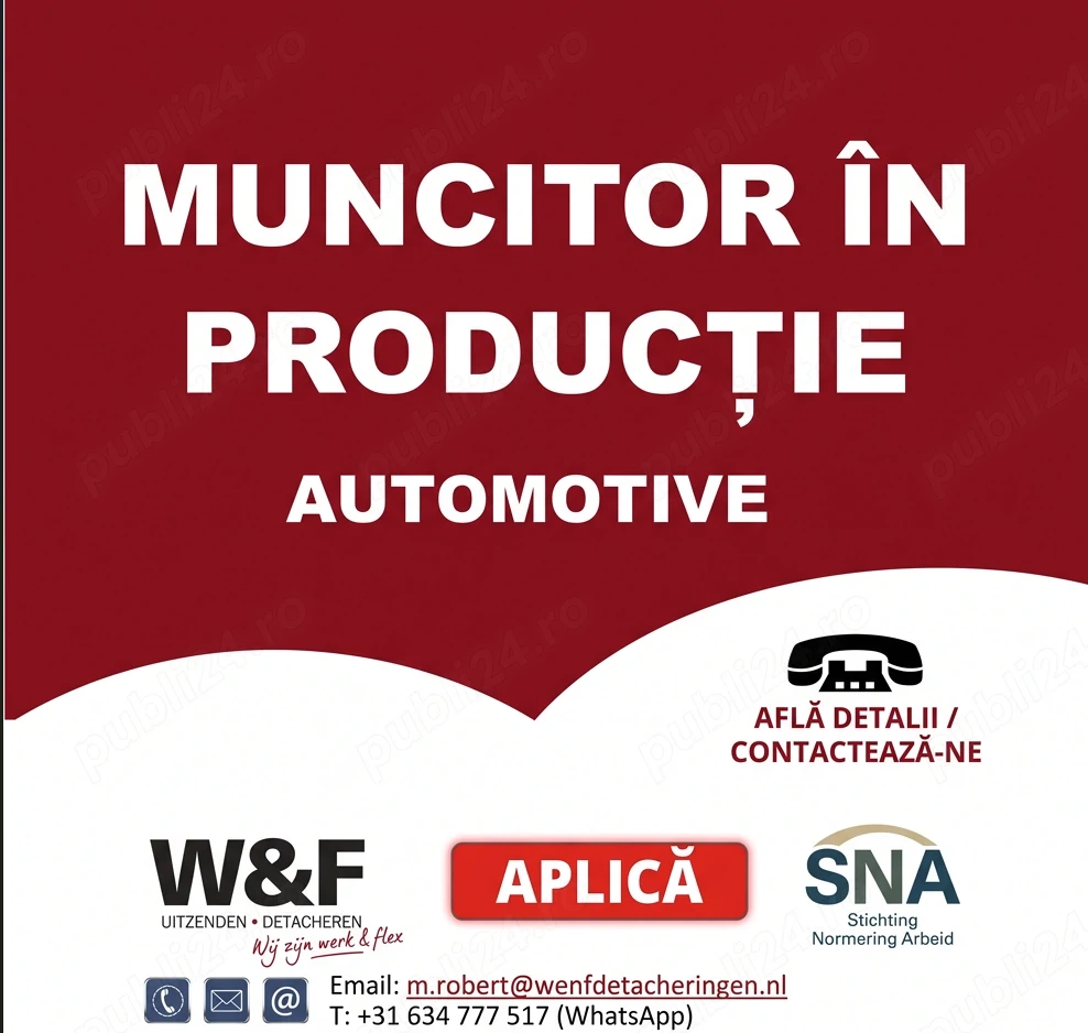 Muncitor Productie Olanda