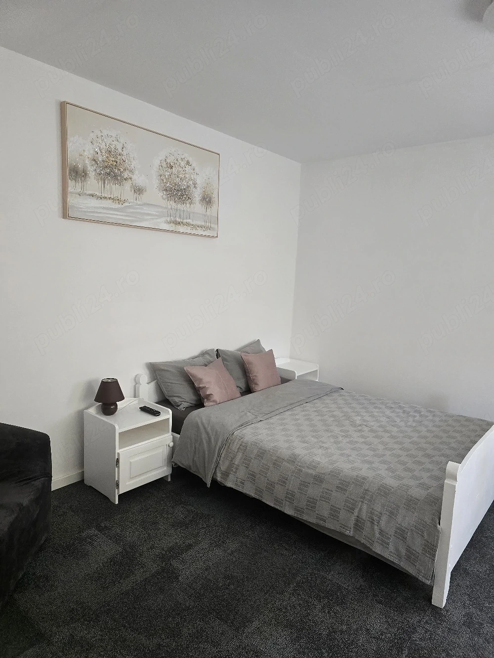 Hasdeu Apartament - Proprietar