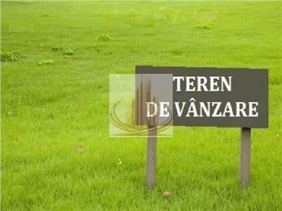 Teren strategic pentru investiție – 5014 mp, Sofronea, Arad.