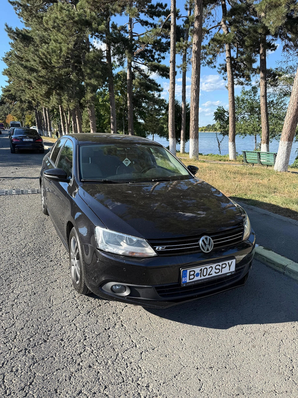 Vand Jetta 2012