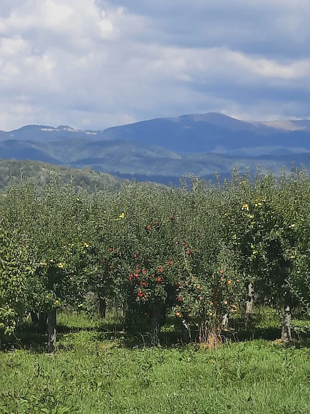 TEREN EXTRAVILAN 6.700 MP   Miclosanii Mari, Dambovita | Potential pentru INVESTIȚIE TURISTICĂ