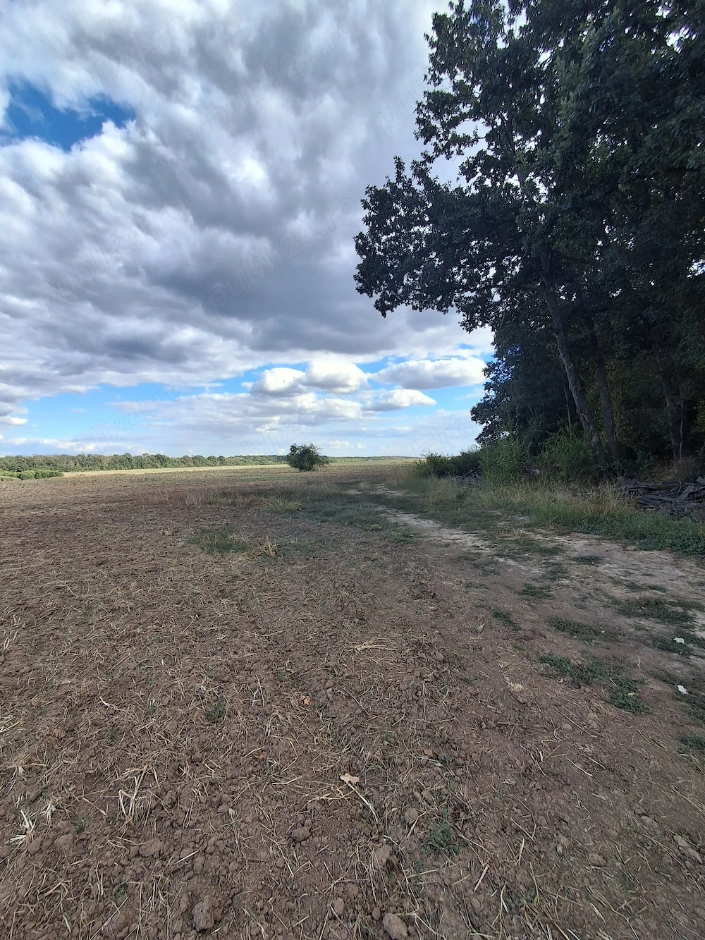 Teren intravilan Snagov 3.500 mp