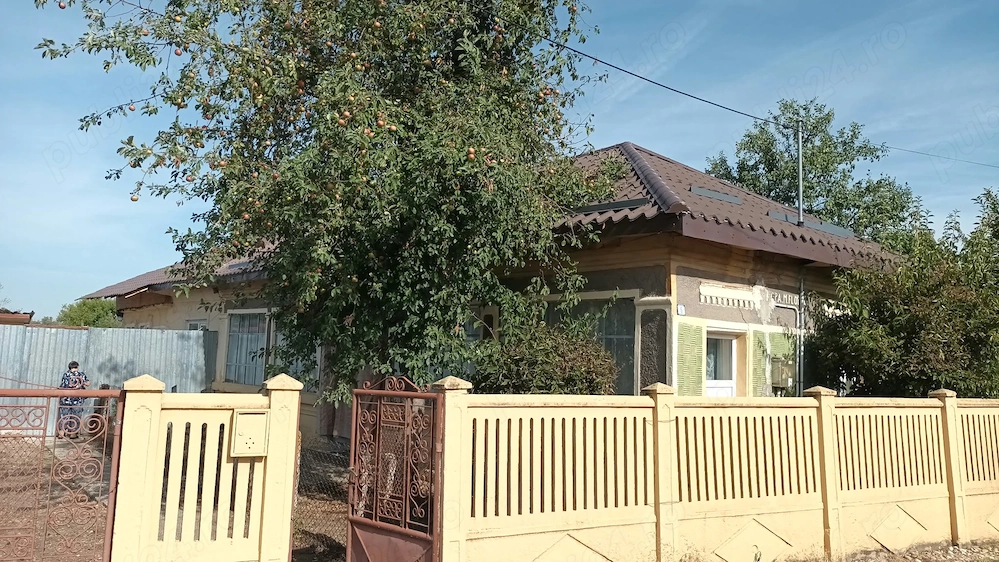 Vand casa in Comuna Maruntei,judetul Olt