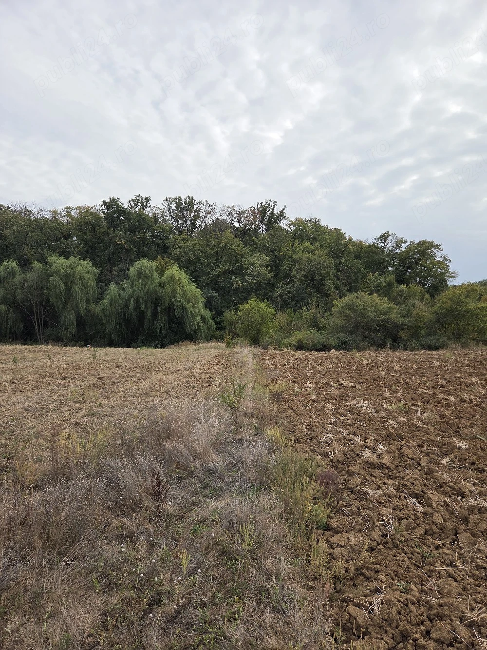 Teren 4070 mp in Scrovistea la padure si lac
