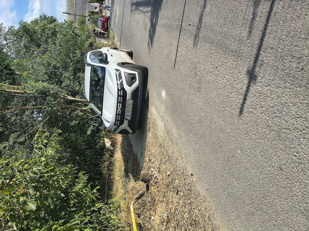 Execut transport persoane și bunuri la cerere