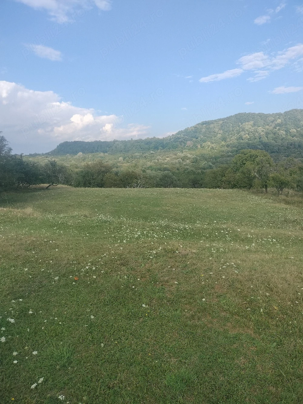 Vand teren extravilan Domnești, Arges 3,5 E mp