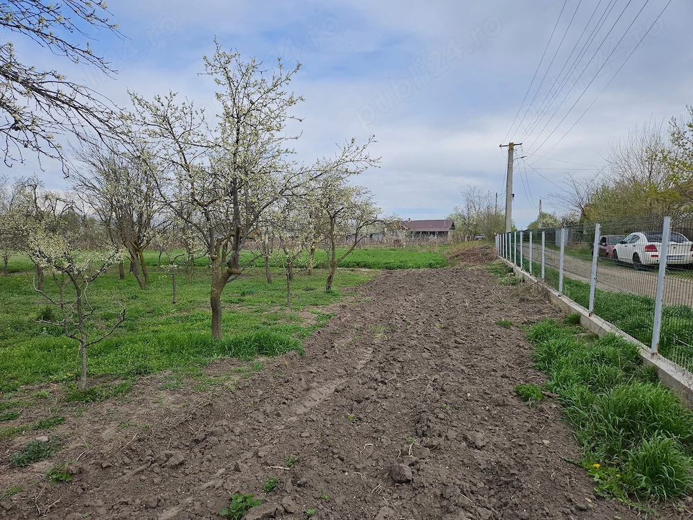 Vand  2000 mp teren intravilan  ( situat intre case)  in loc. Maxenu - (10 min de orasul Buzau) 