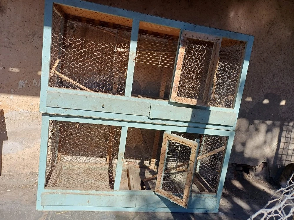 Mini voliere si cuști