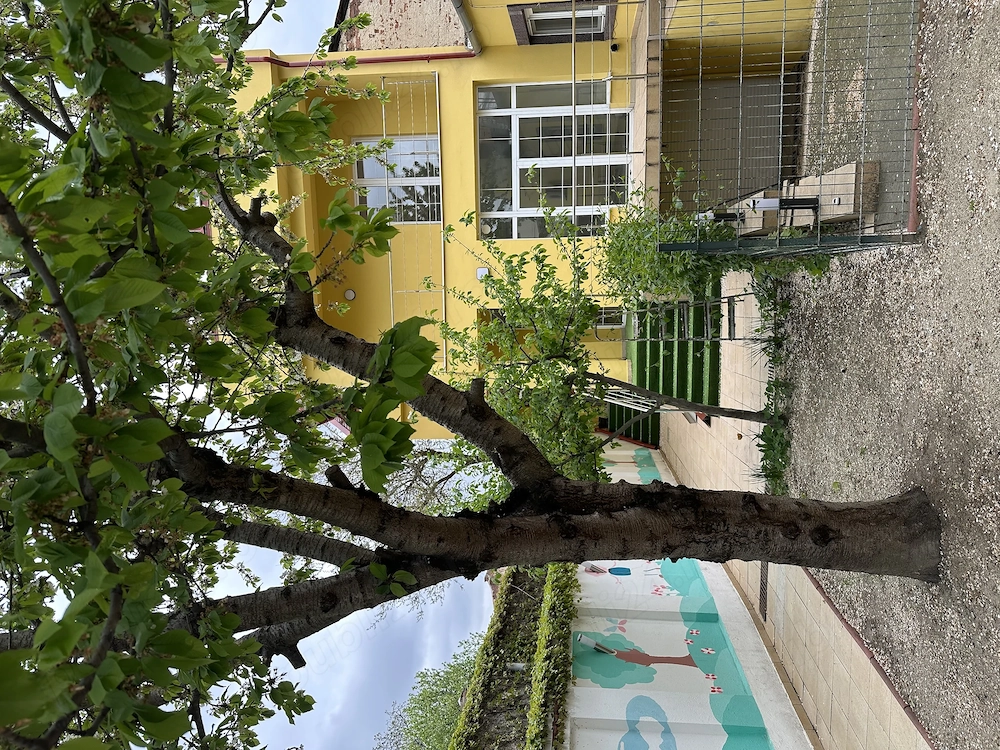 Vila de închiriat zona Tineretului 