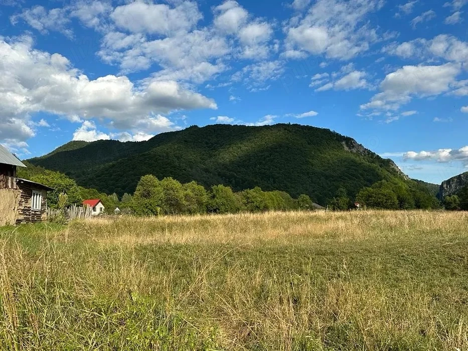 Teren Lepsa intravilan central