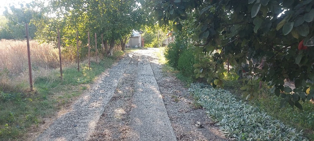 Teren Măgura zona Farbe 