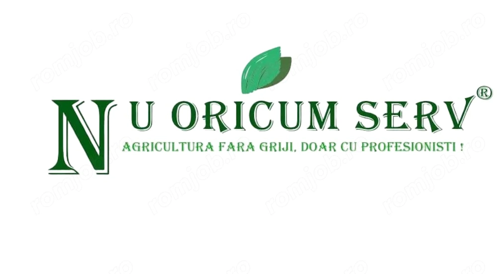 Recepționer Marfă 