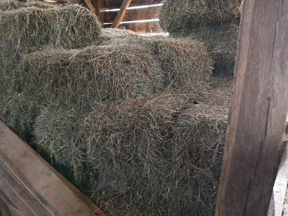 Vând otavă 