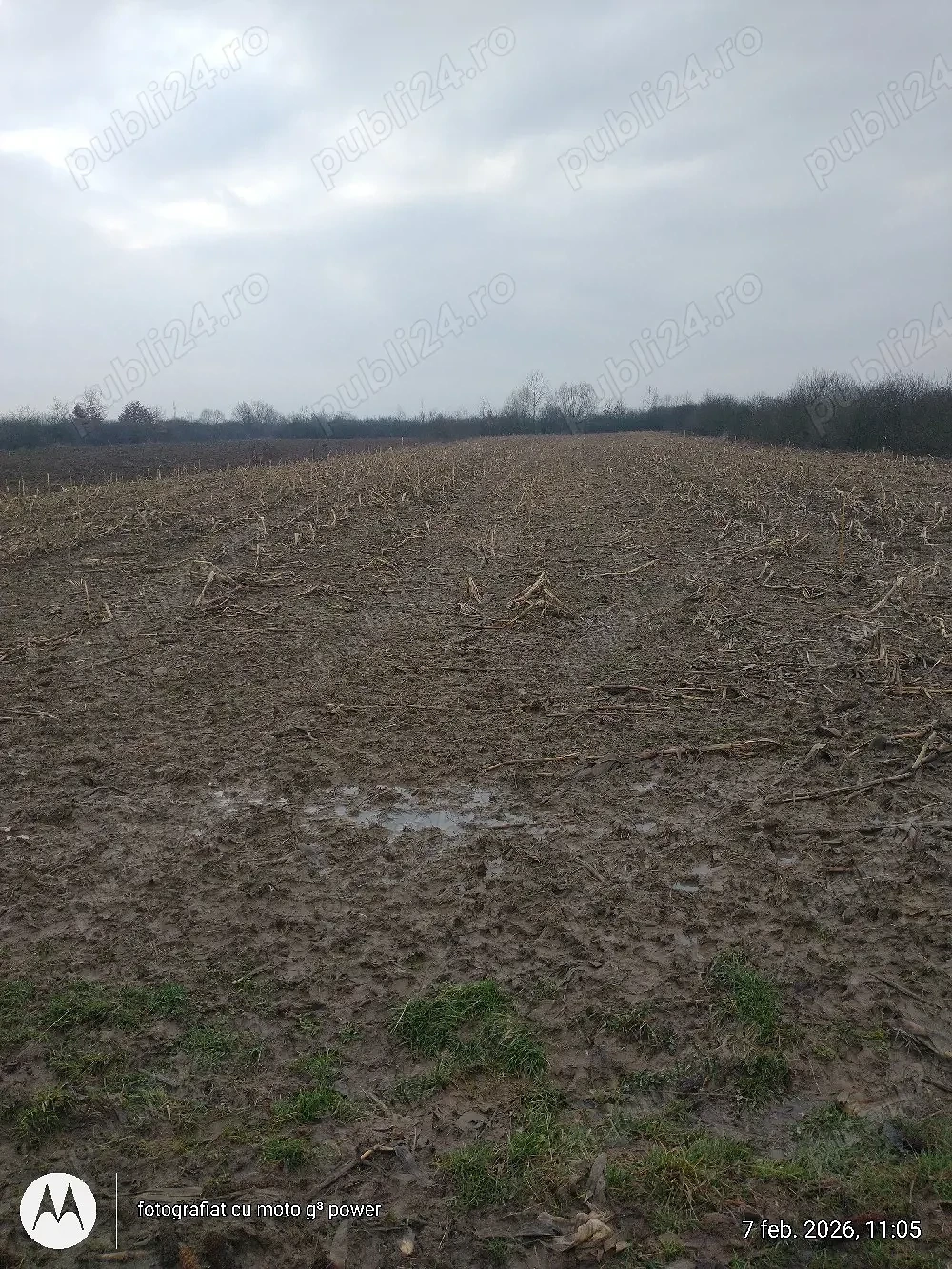 Zona agricola Lapusel-Bozanta Mica teren 5000 mp extravilan pentru culturi