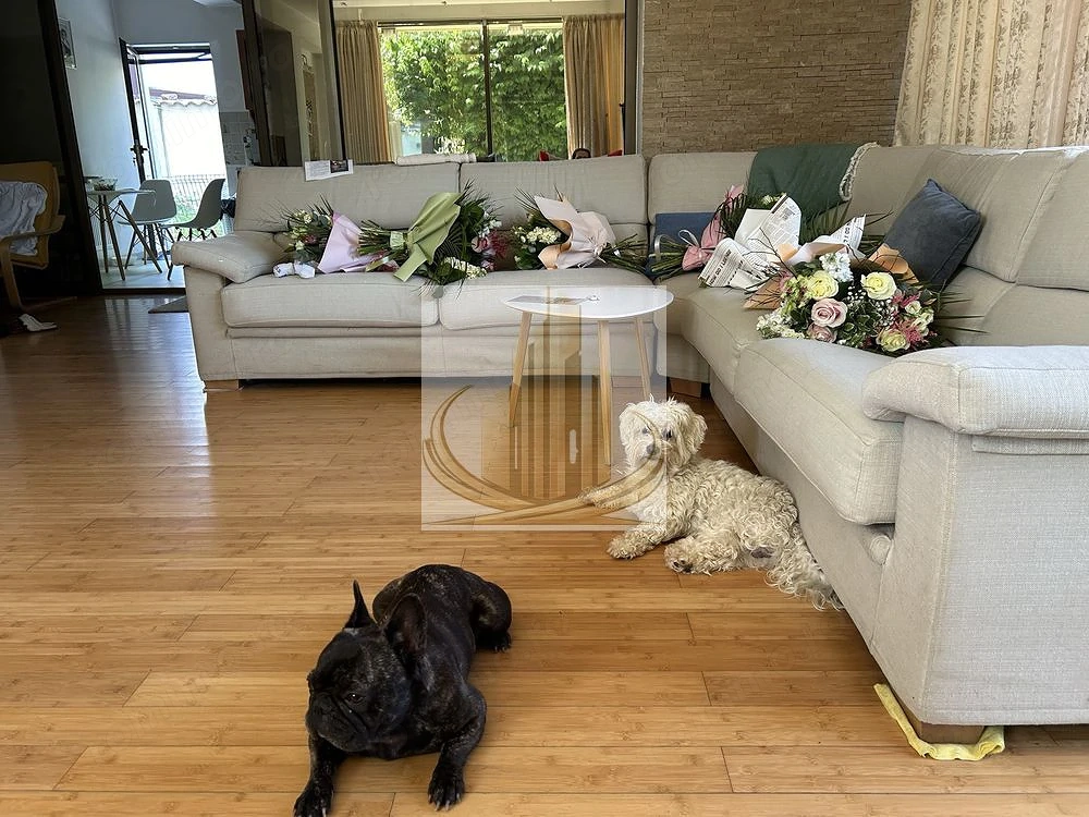 Vilă spectaculoasă în zona Brâncoveanu | 270 mp | Garaj| Curte proprie