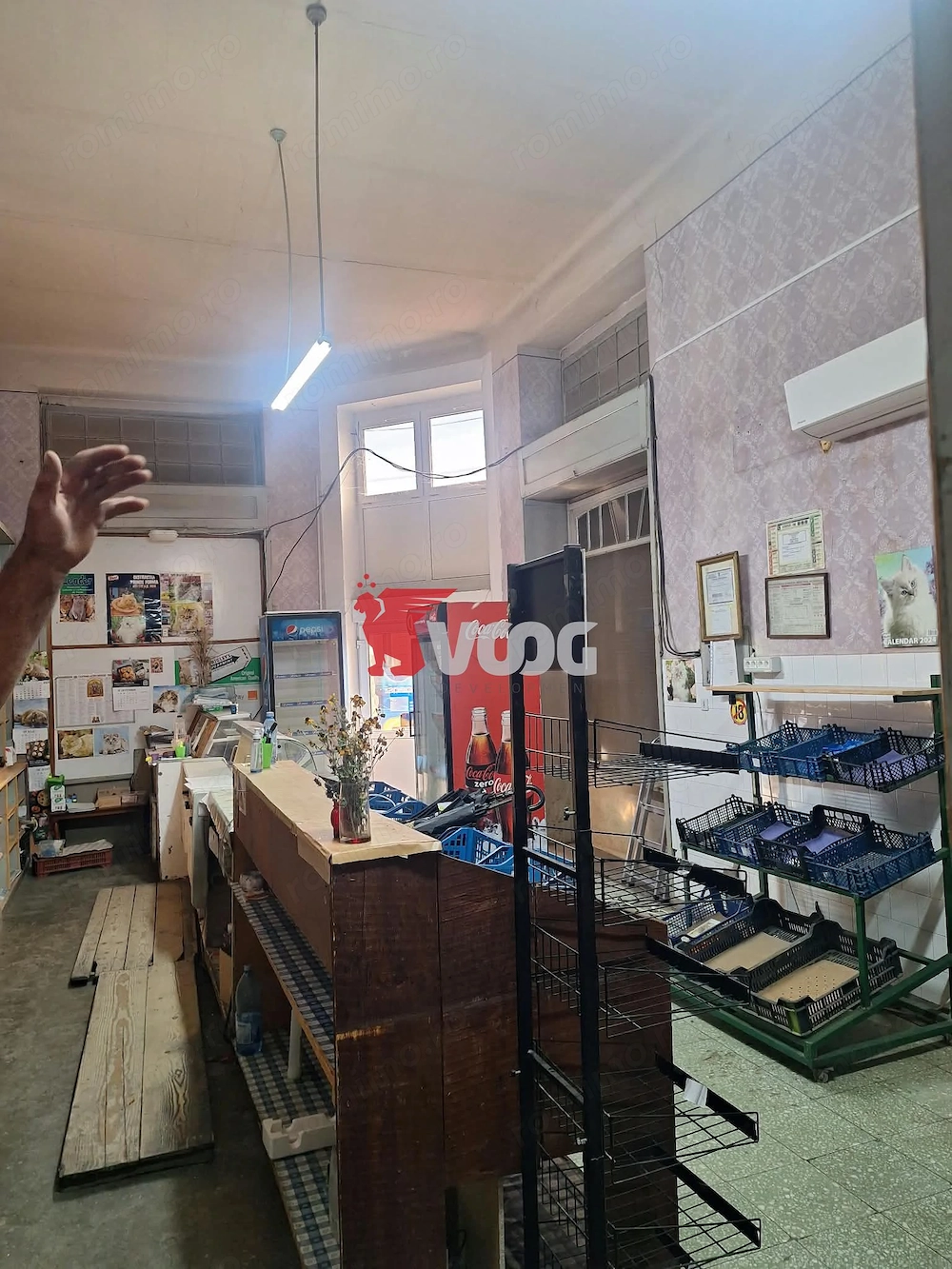 SPATIU COMERCIAL STRADAL-110 MP-ELISABETIN