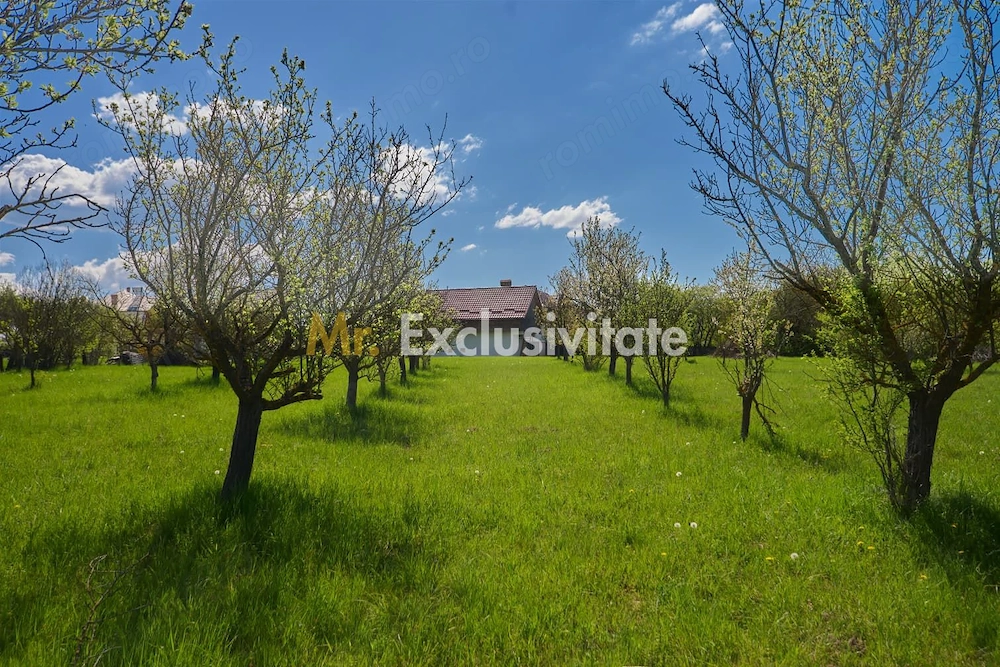 Teren Campulung Muscel - Valea Mare Pravat - 9400 mp, utilitati