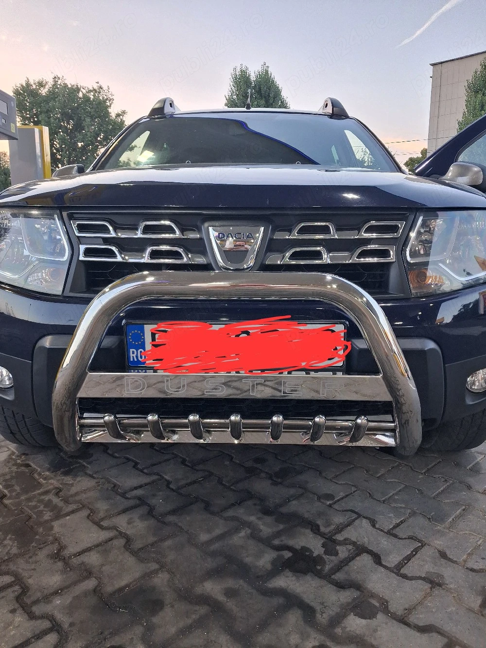 Bullbar Duster