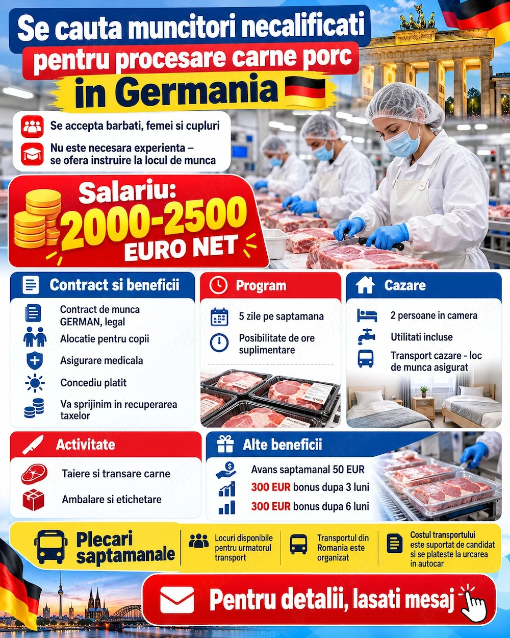Personal necalificat Germania