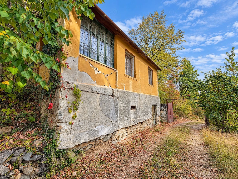 Casa Paulis de vanzare