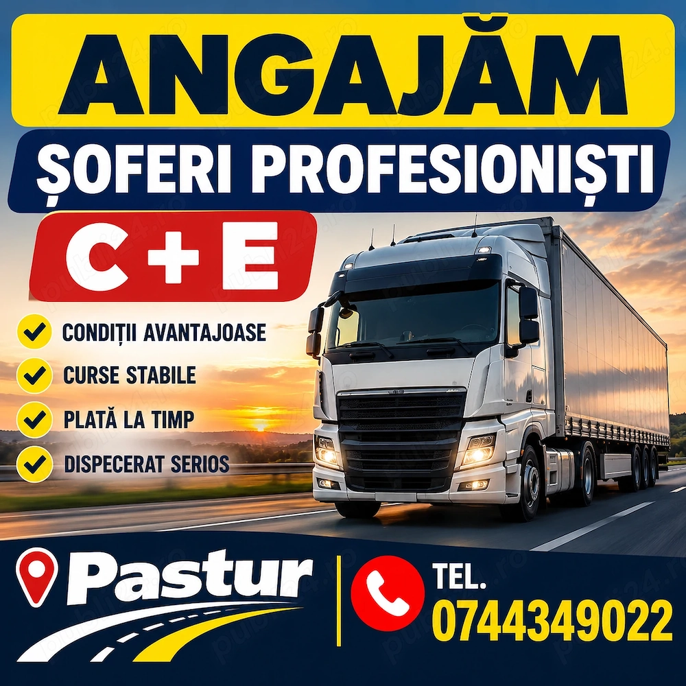 Sofer permis categoria C + E 
