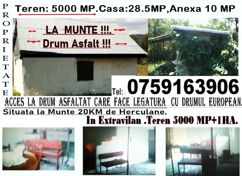 Proprietate la Munte Compusa din 3 Terenuri Separate si o Padure.Casa,Sopron,Cabama Drum din Asfalt.