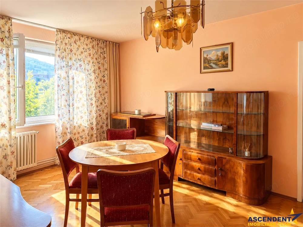 Pet friendly! Apartament doua camere, Bulevardul Victoriei, Brasov