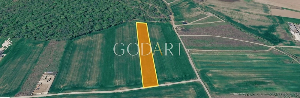 Teren 10.000 mp în Ciolpani | Deschidere la șosea | Pădurea Snagov