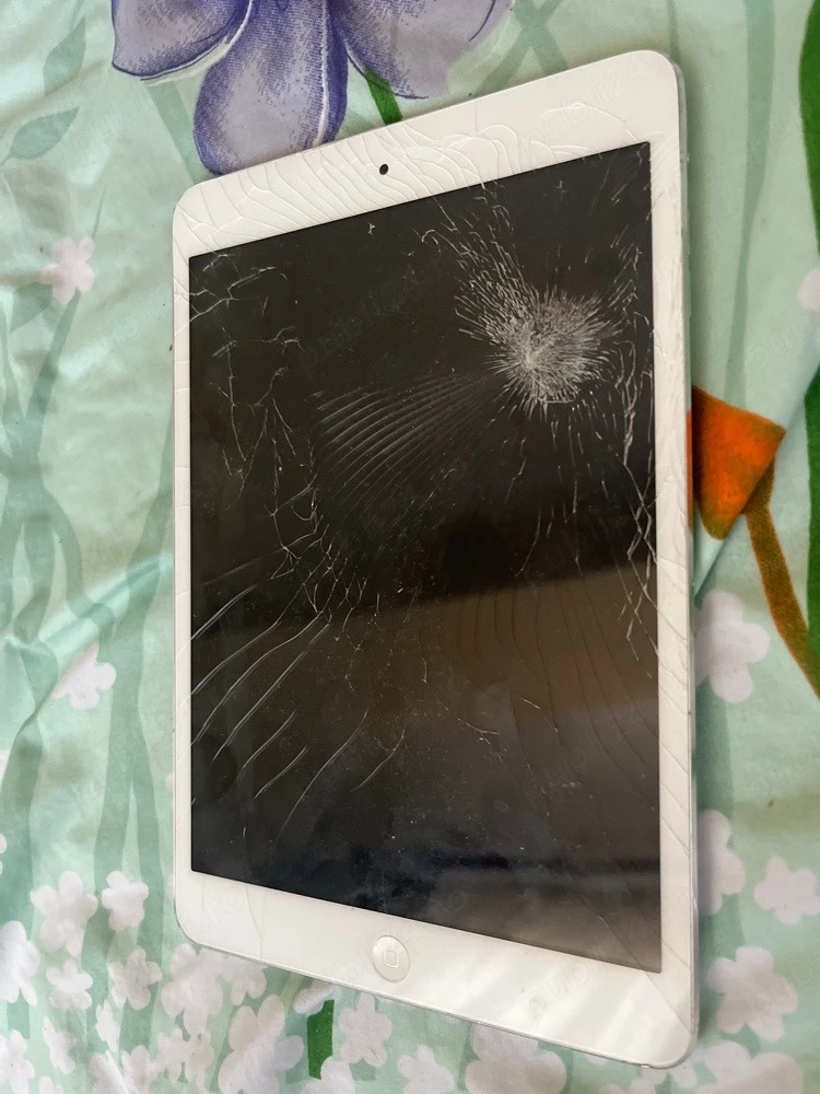 ipad mini wifi only