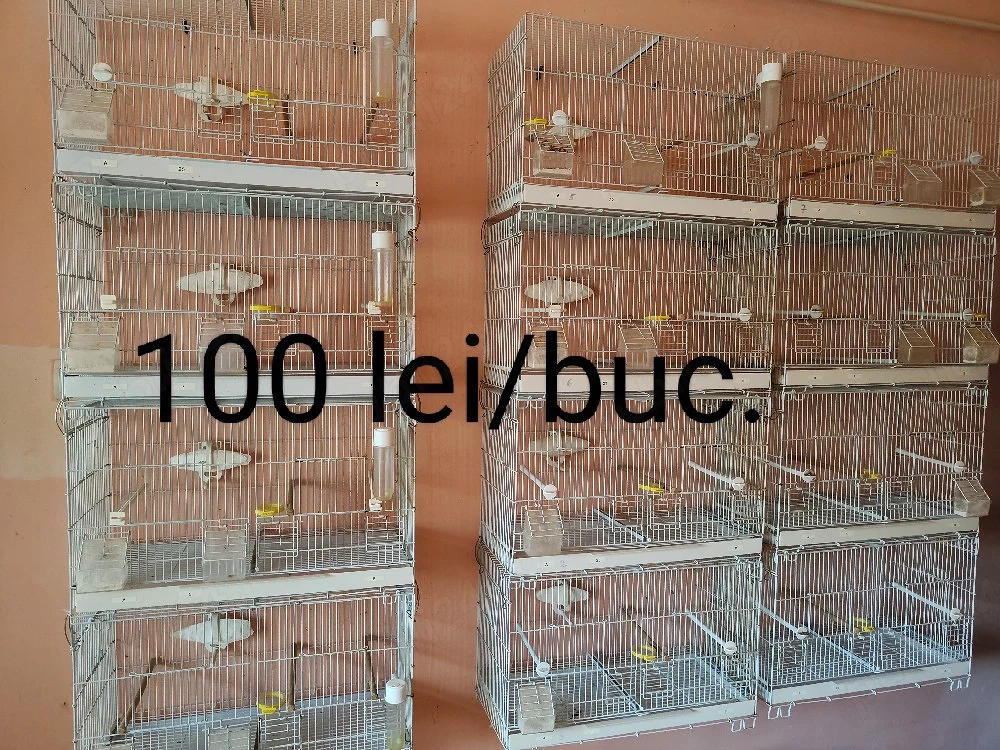 Colivii si transportatoare