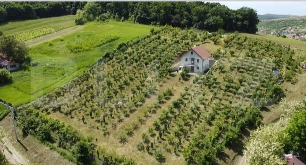 Casă și livadă de vânzare, 150 mp, zona Grebenișu de Câmpie