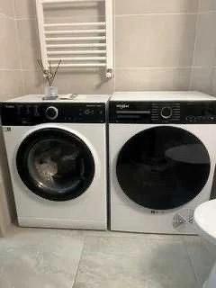berceni drumul dealul babii studio