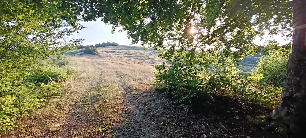 Teren extravilan 12.600 mp