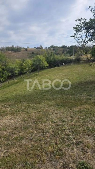 Teren de vanzare 8.300 mp Plesi Loman judetul Alba