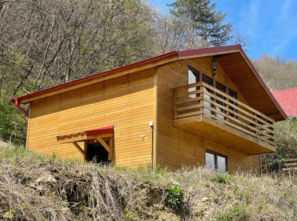 Cabana Dacilor de la Costesti