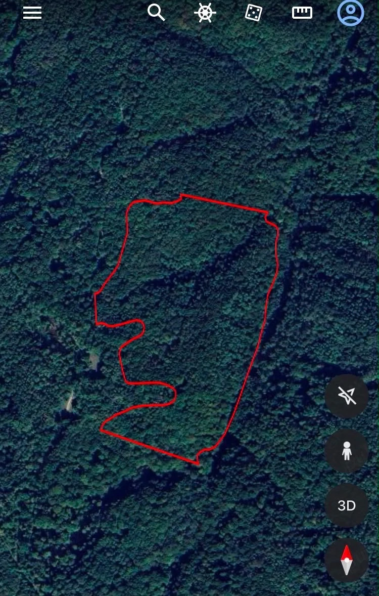 Vand Urgent 10 Hectare Padure Fag Tei Carpen 