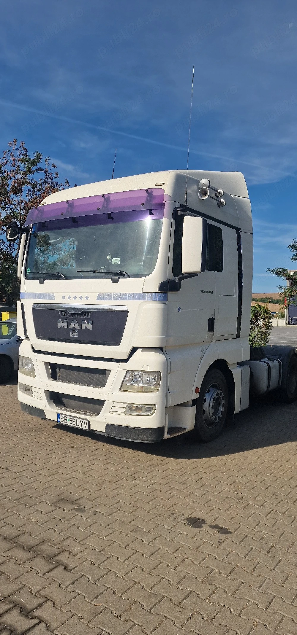 Camion Man tgx 