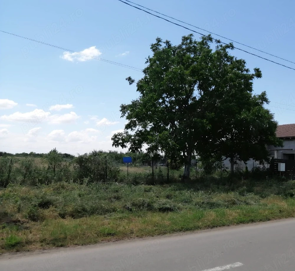 Proprietar - Vând teren intravilan 629 mp, Parța (Str. Căminului)