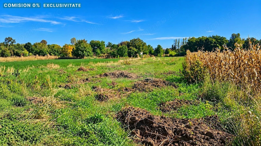Teren intravilan 1.500 mp, 2 fronturi, Hilișeu-Horia, Botoșani