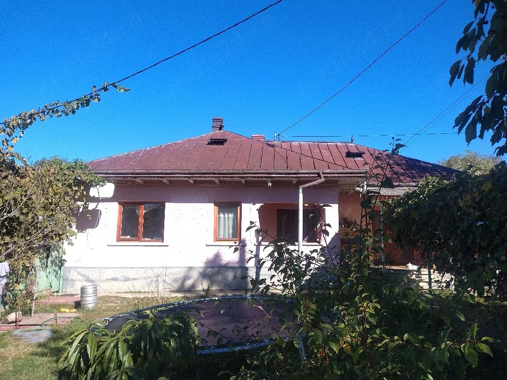 Ofer cazare gratuită în schimbul ajutorului în gospodărie 