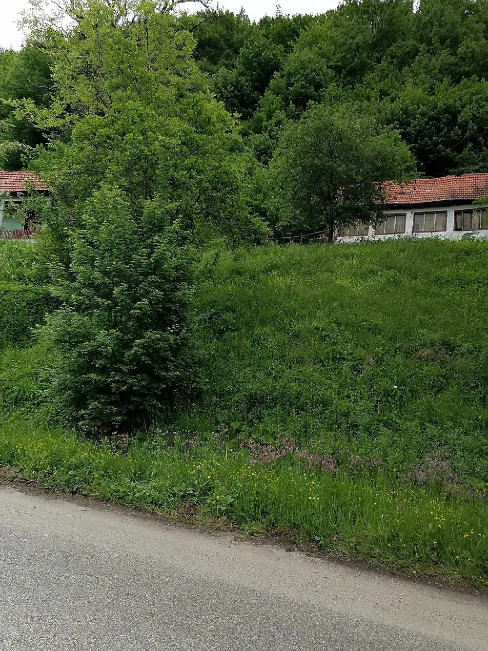 Vînzare locuință 