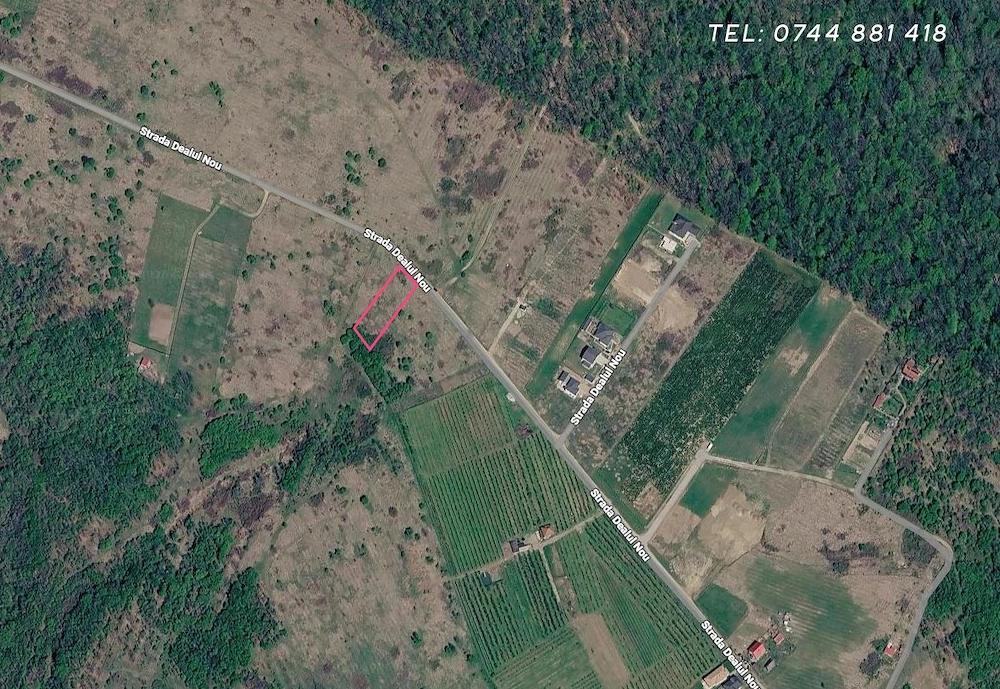 Teren intravilan (923mp) și extravilan (304mp) Total. 1.227 mp, Săldăbagiu de Munte, Paleu