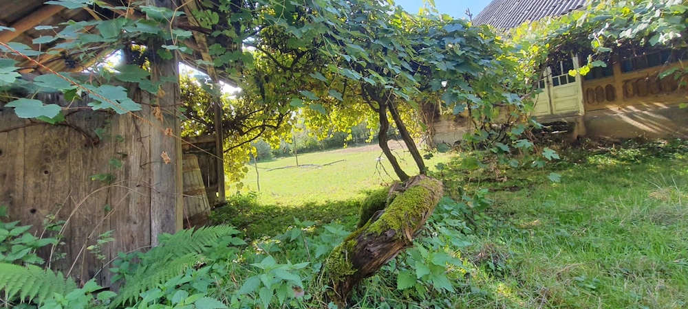  Teren drept 2.845 mp în Bârsana, ideal investiție agro-turistică restaurant. 