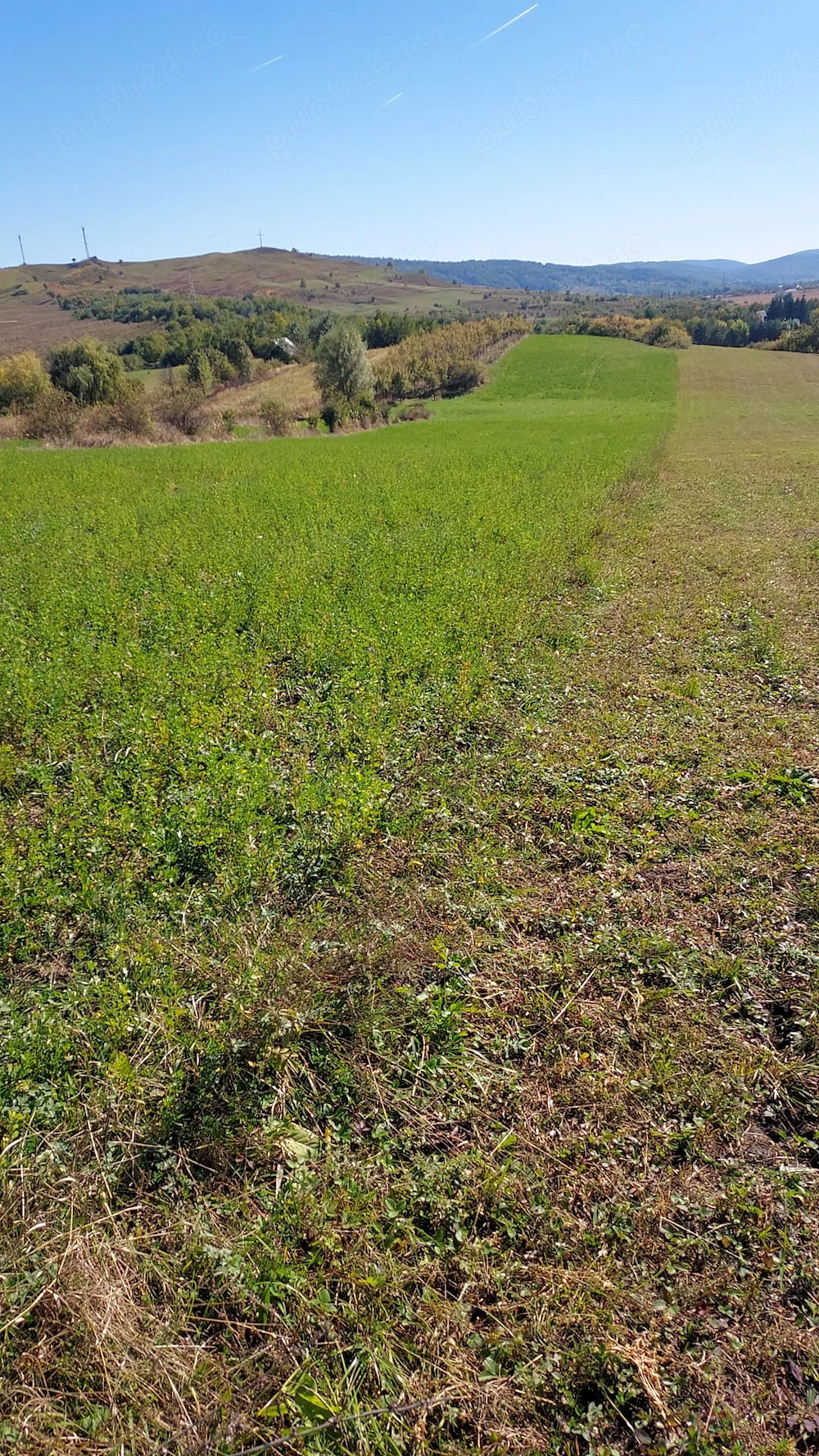 Teren extravilan Drajna de Sus zona Stanesti