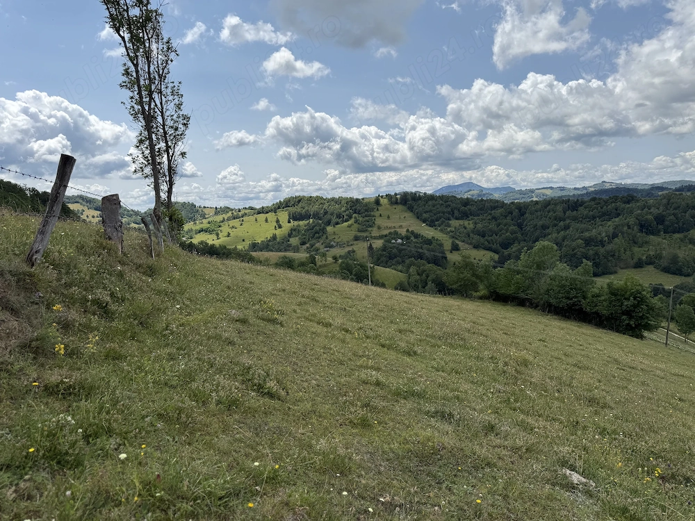 Teren de vânzare 